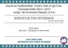 RIZENSTAR THE SINNERMAN